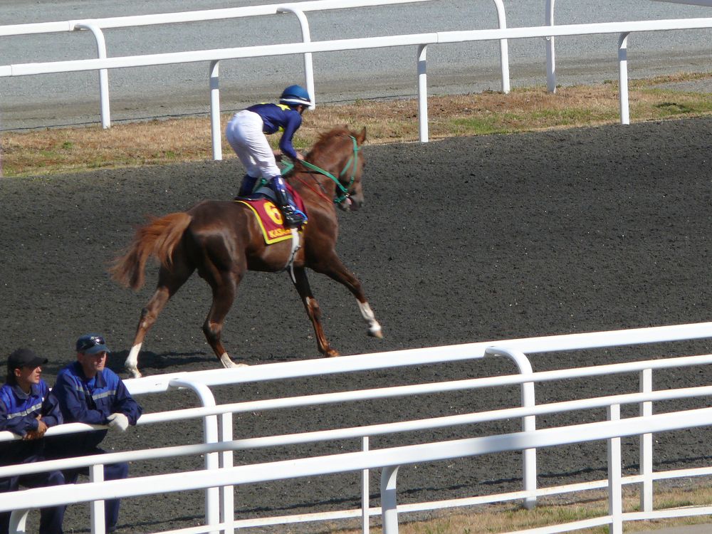 Фотография автора Клавдия Васильева