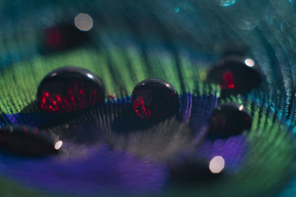 Photograph by Юлия Щербакова