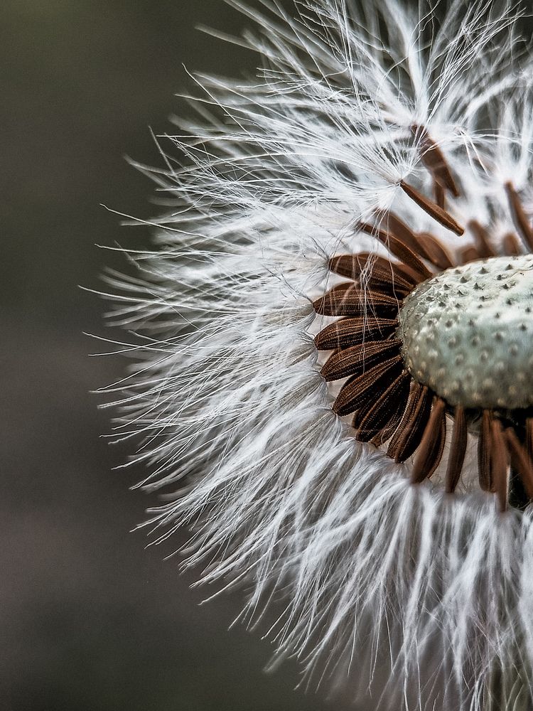 Photograph by Ирина Иванова