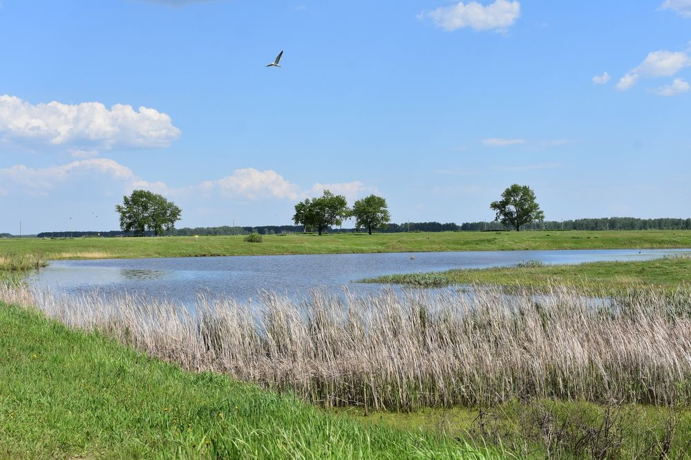 Photograph by Андрей Юденков