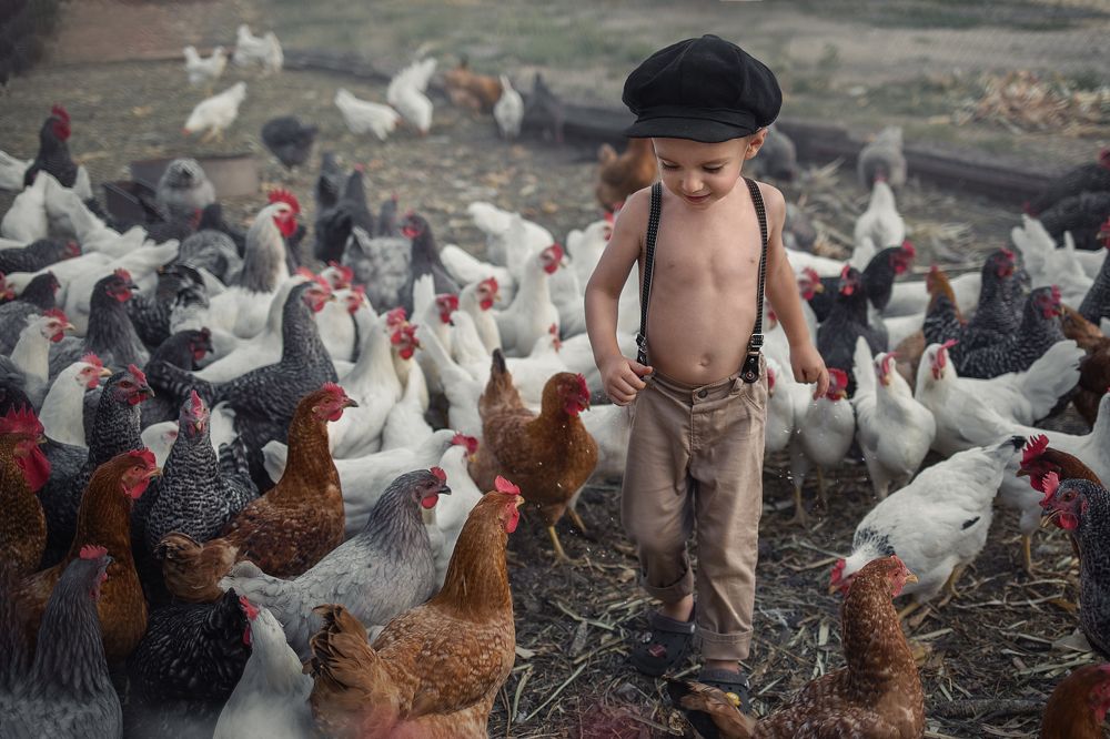 Всем по зёрнышку