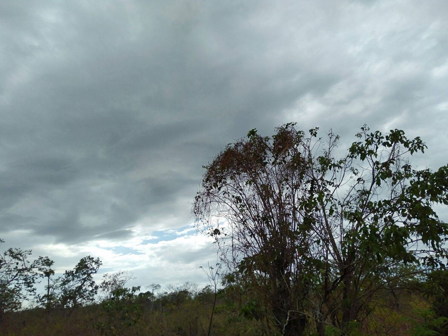 Photo #6476487