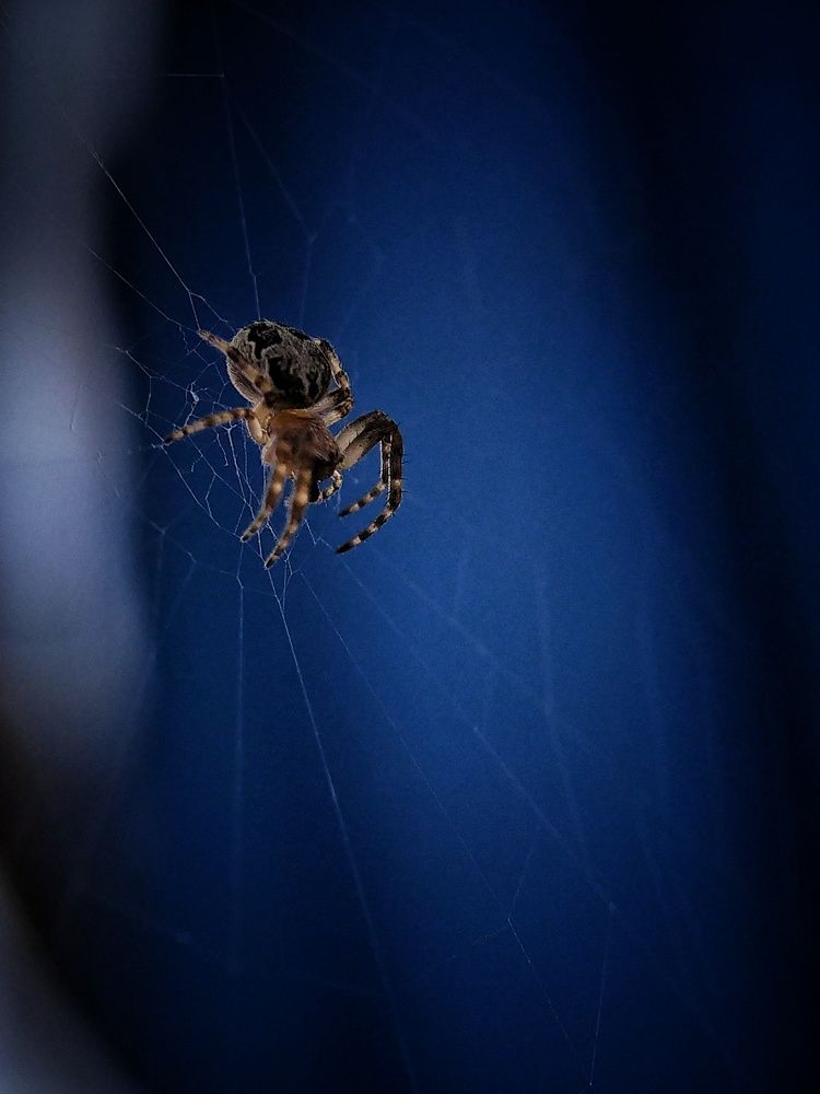 Photograph by Ольга Юминова