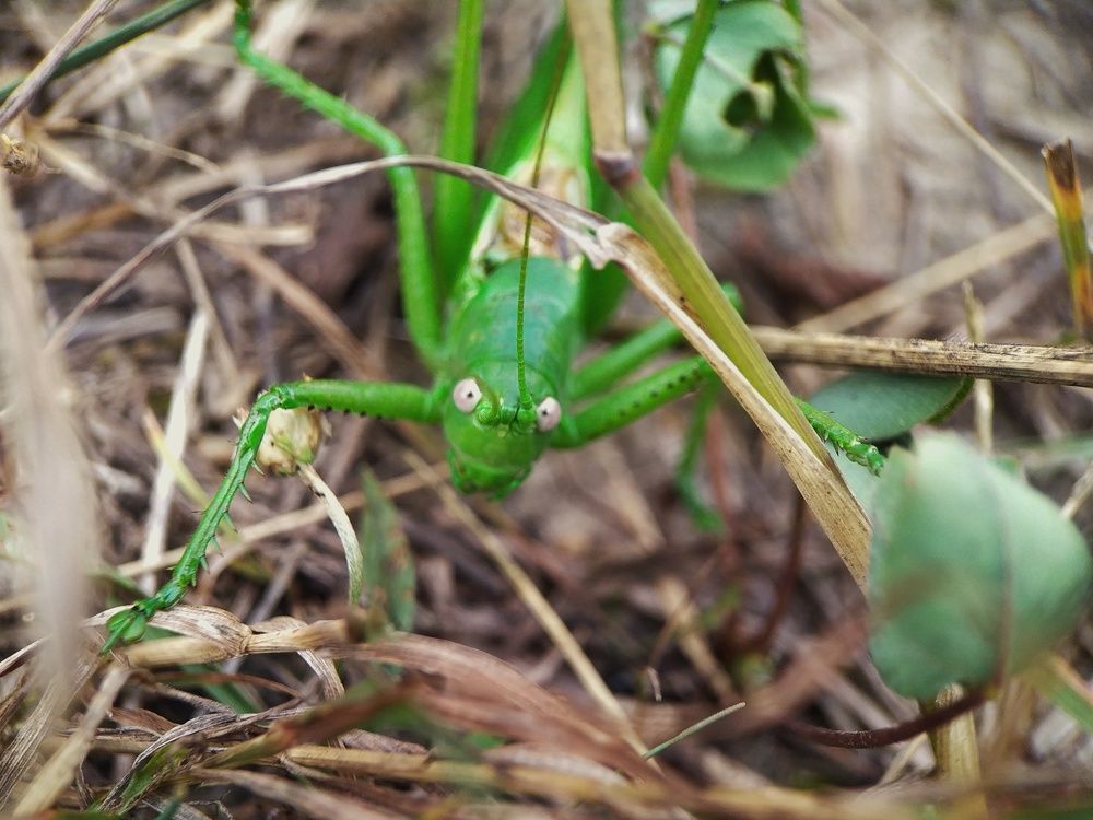 Photograph by Ольга Юминова