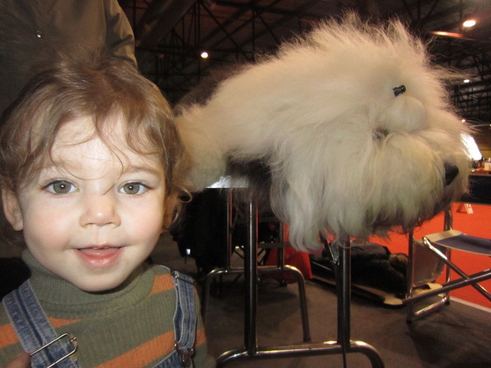 Photograph by Viktors Giršsons