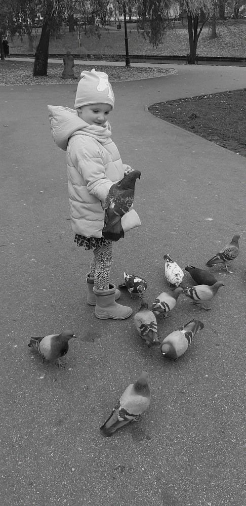 Photograph by Viktors Giršsons