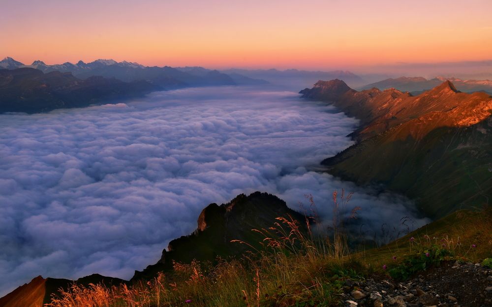 Photograph by Elena Wymann