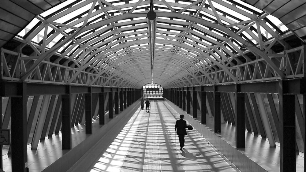 Photograph by Жозе Де Оливейра