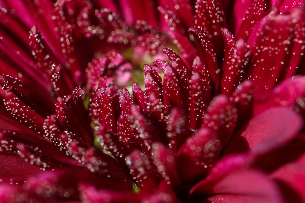 Photograph by Надежда Зайцева