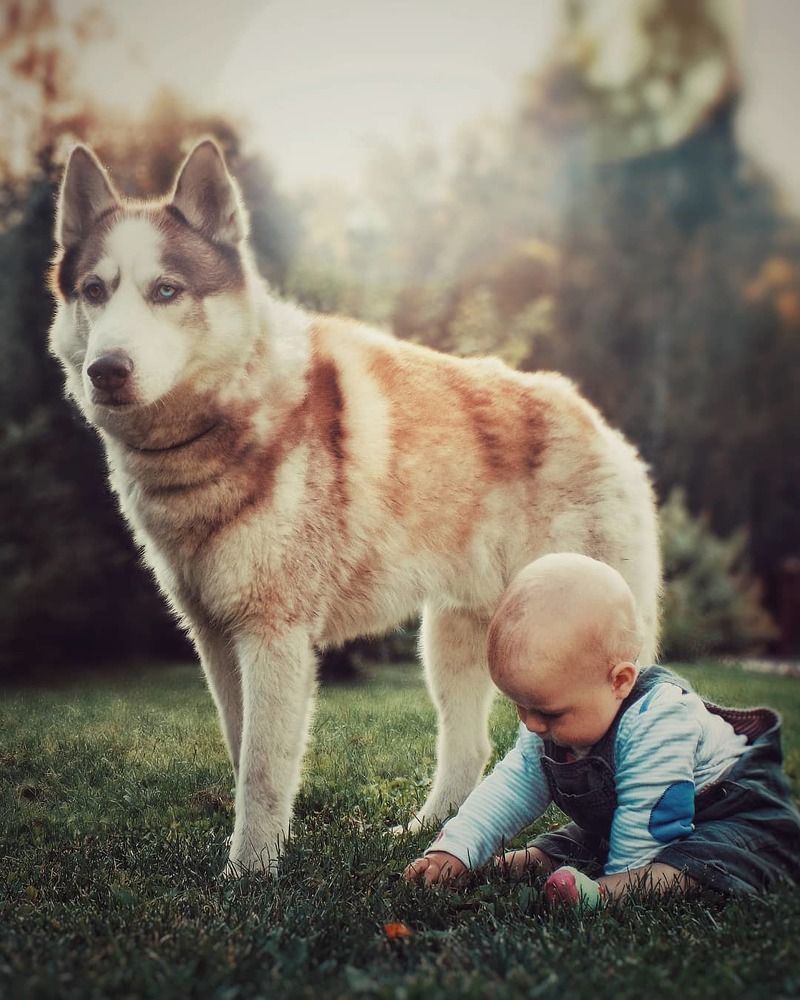 Photograph by Александра Шишкина