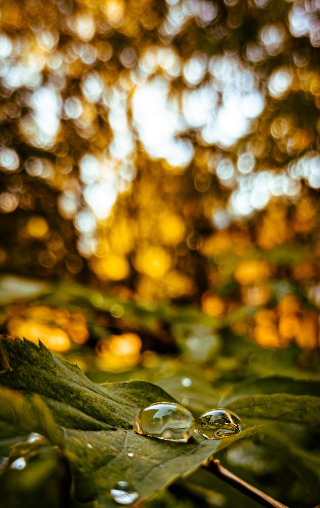 Photograph by Georgy Ivanov