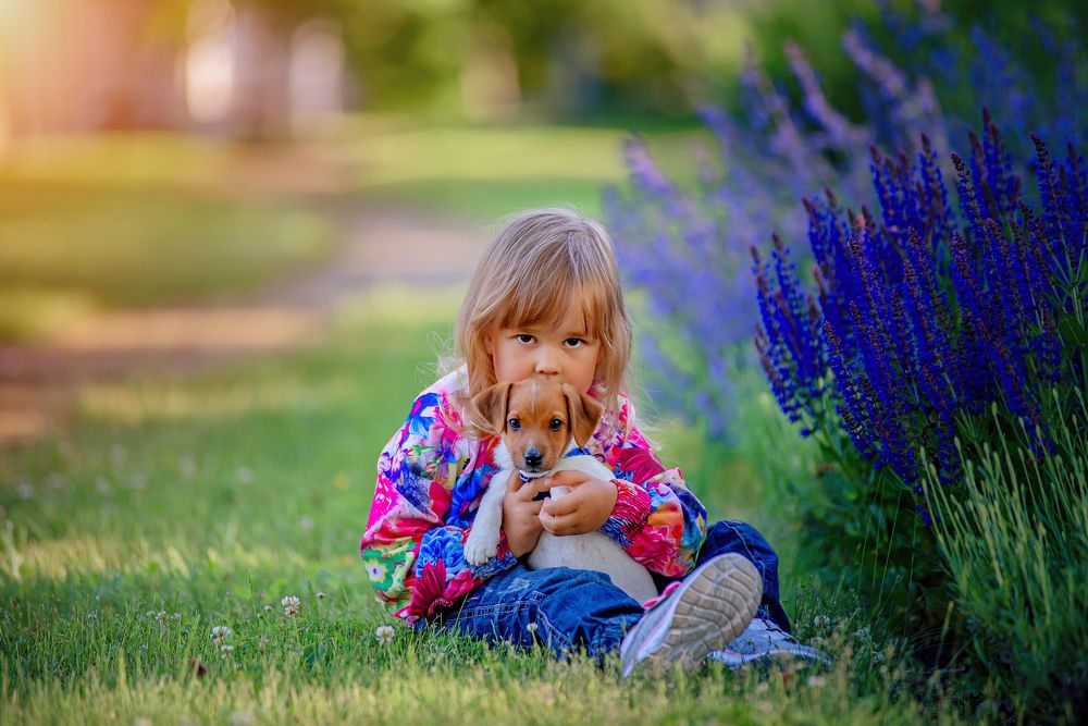 Photograph by Светлана Чижова