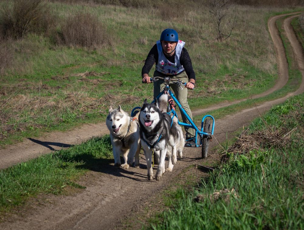 Photograph by Vlad Proshin