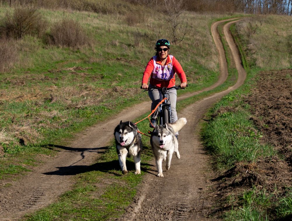 Photograph by Vlad Proshin