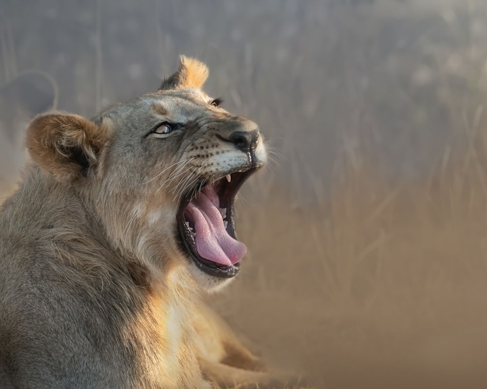 Photograph by Geri Uauy