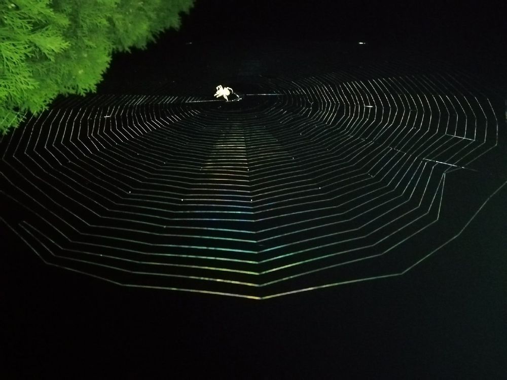 Photograph by Дмитрий