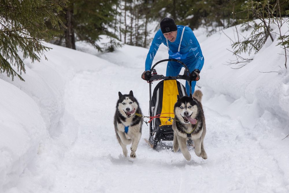 Photograph by Илья Юфа