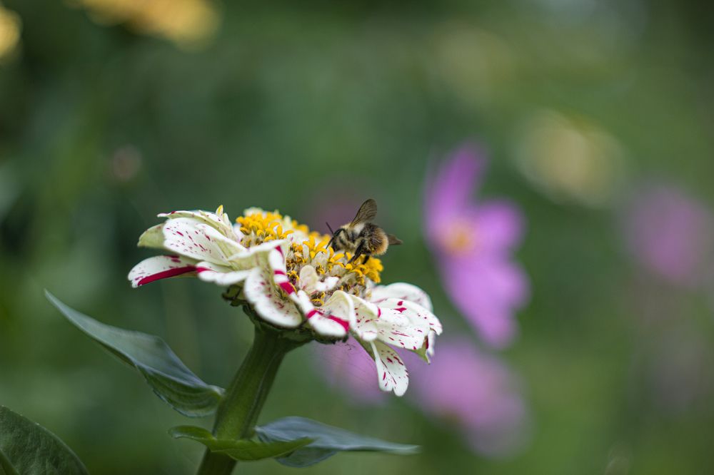 Photograph by Наиль Шакиров