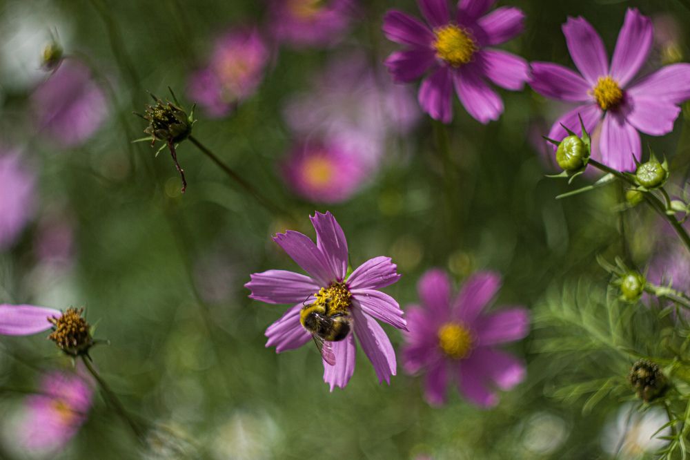 Photograph by Наиль Шакиров