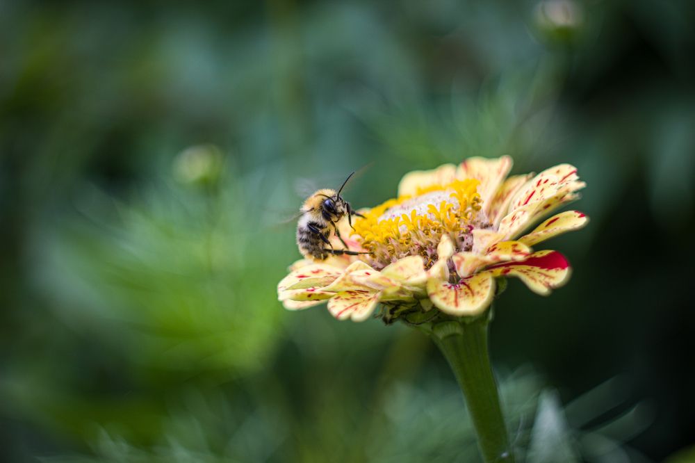 Photograph by Наиль Шакиров