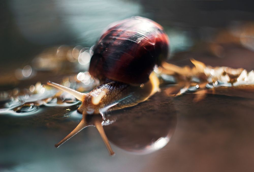 Photograph by Евгения Кинжакова