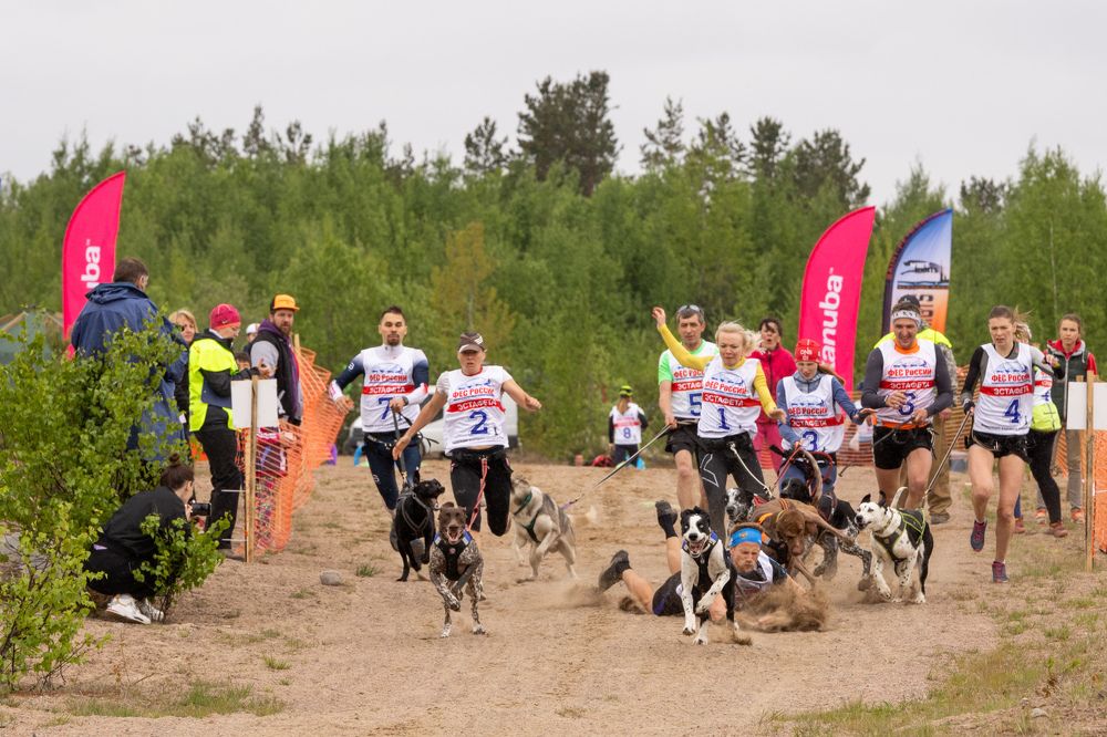 Photograph by Илья Юфа