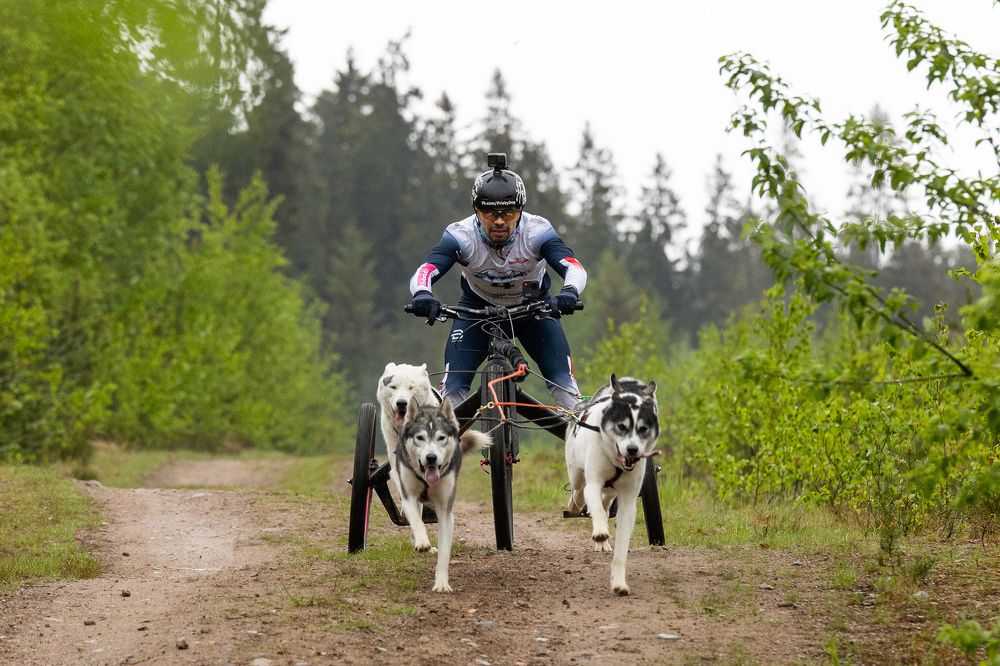 Photograph by Илья Юфа