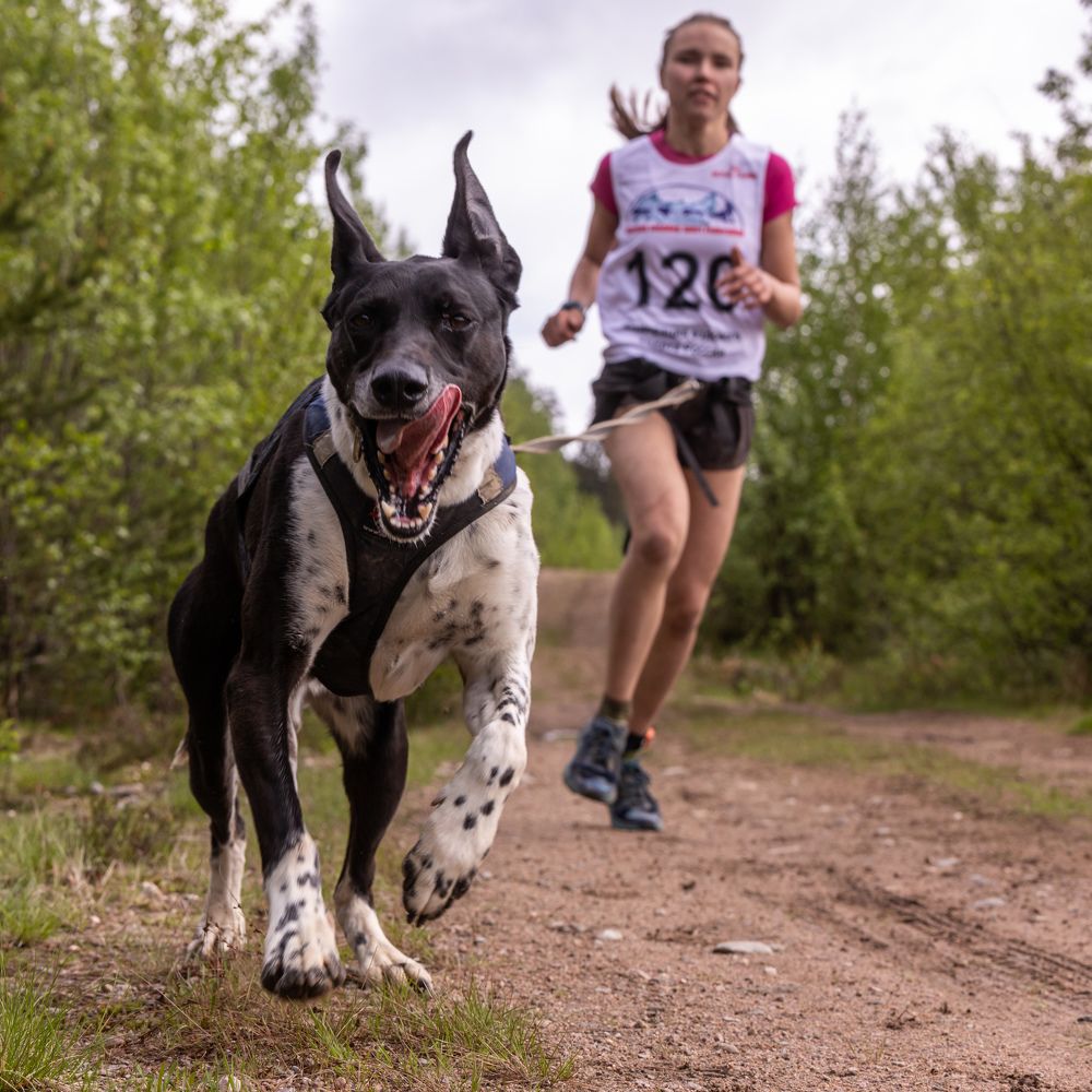 Photograph by Илья Юфа