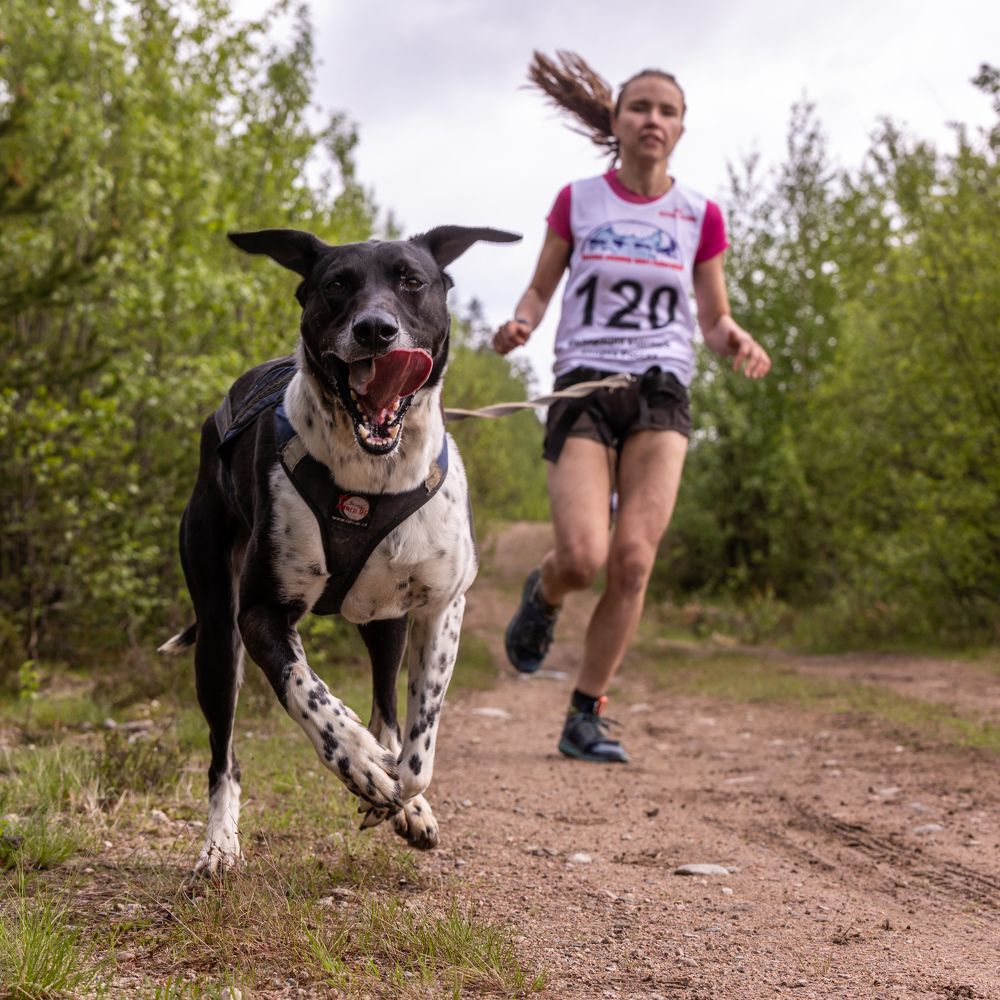 Photograph by Илья Юфа