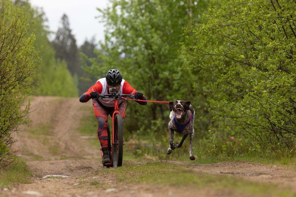 Photograph by Илья Юфа