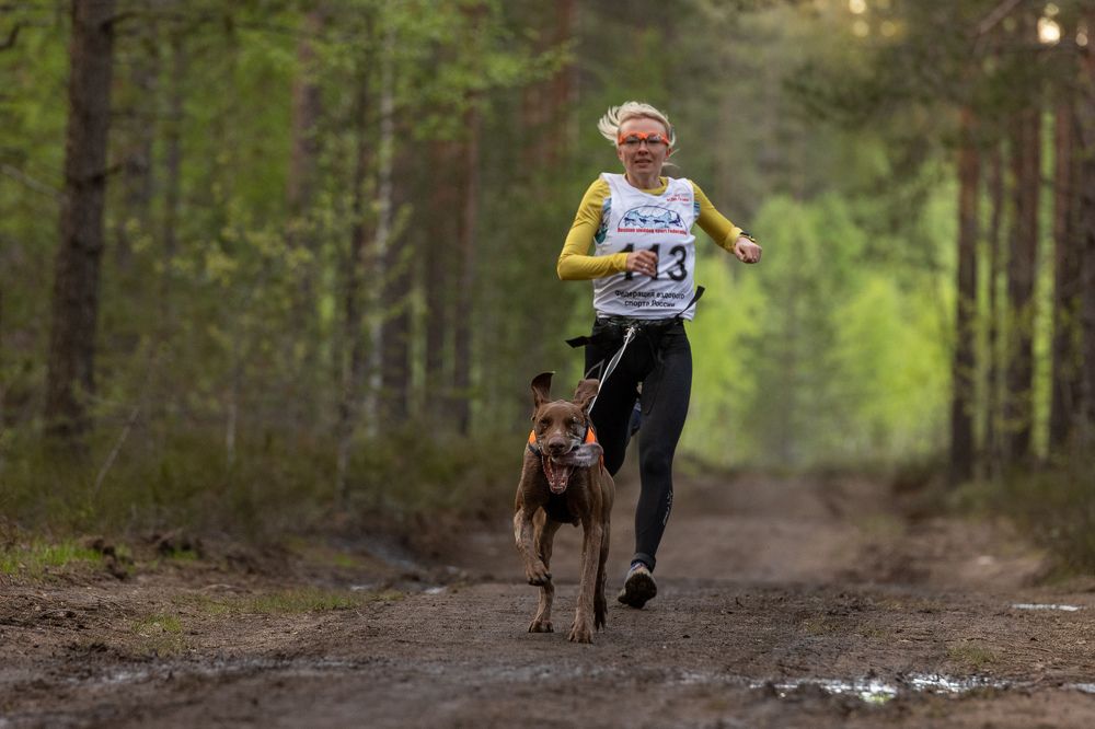 Photograph by Илья Юфа