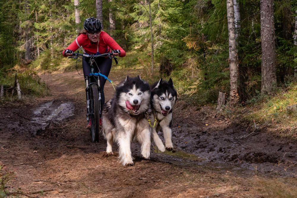 Photograph by Илья Юфа