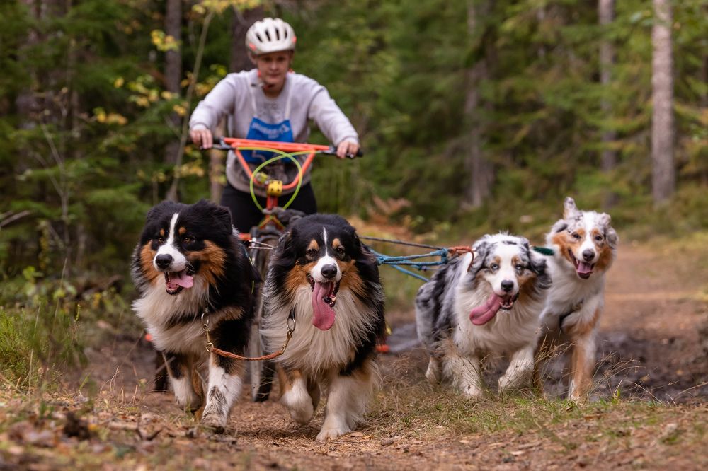 Photograph by Илья Юфа