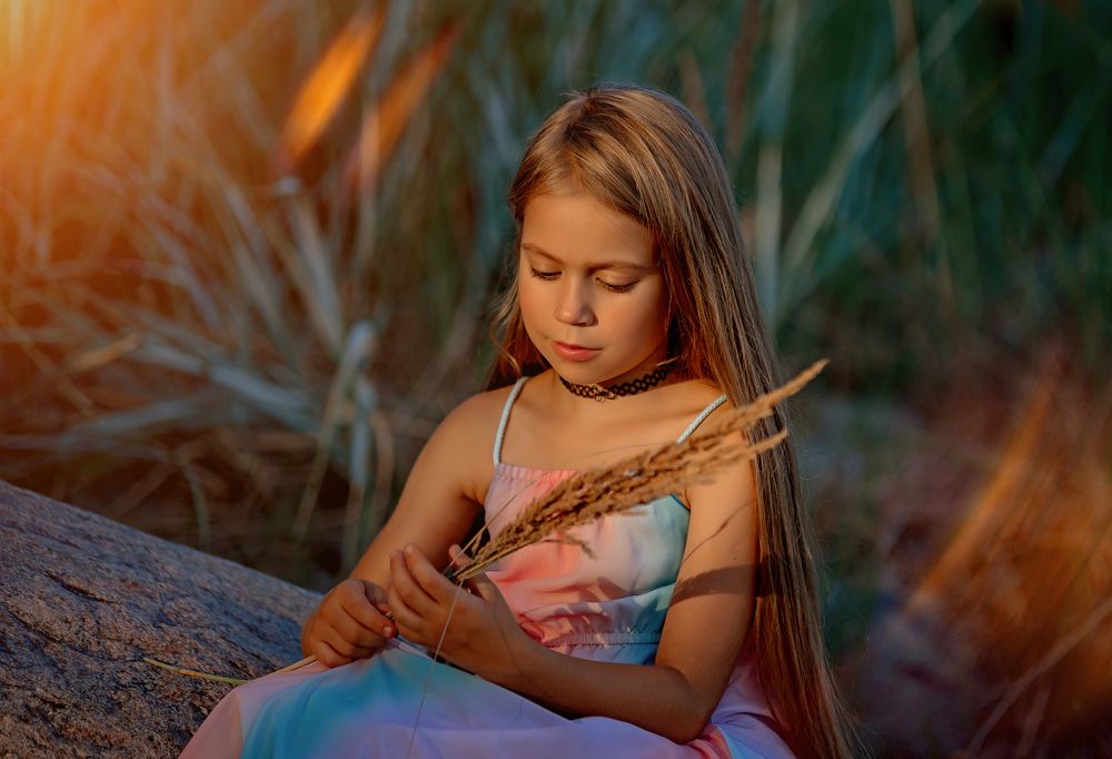 Летний вечер