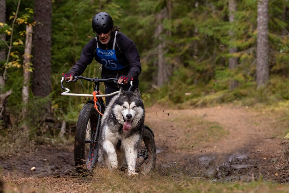 Photograph by Илья Юфа