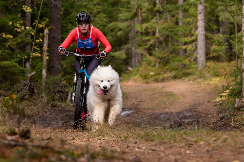 Photograph by Илья Юфа