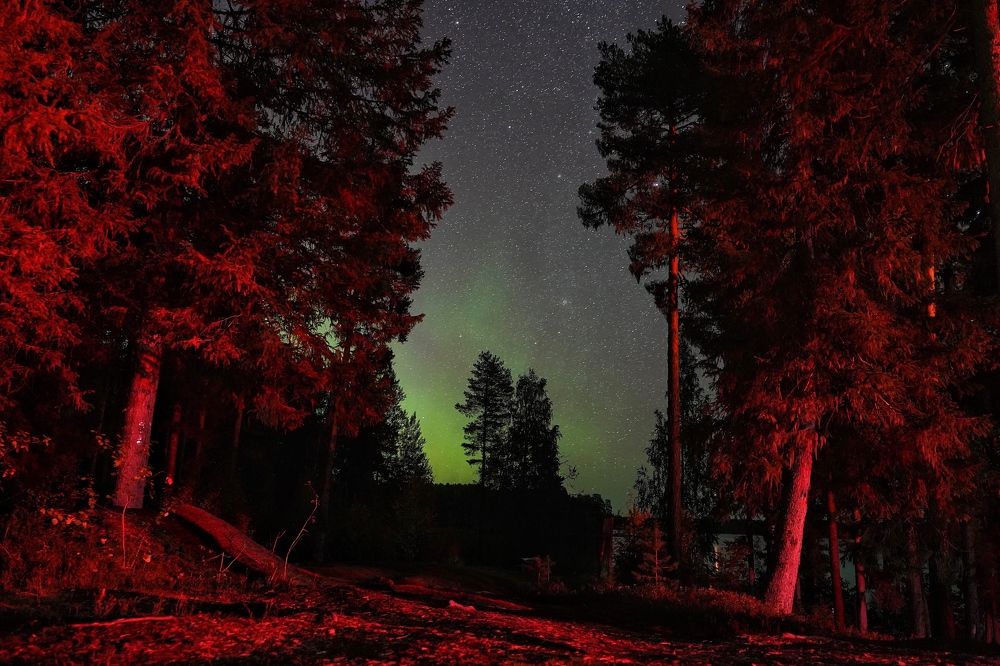 Photograph by Татьяна Машина