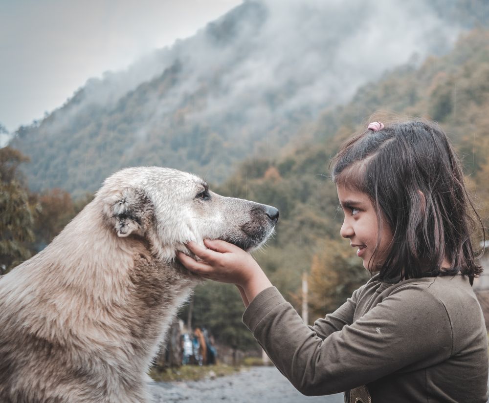 Photograph by Nasrin Navayi