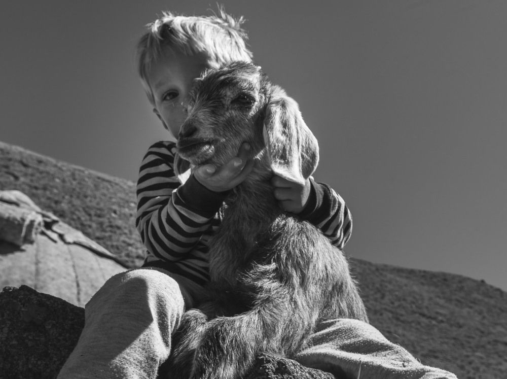 Photograph by Nasrin Navayi