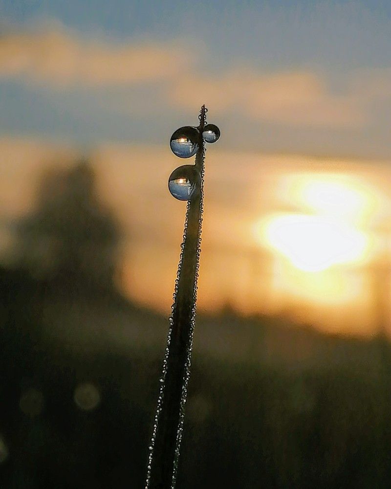 Photograph by Виктор Шубин