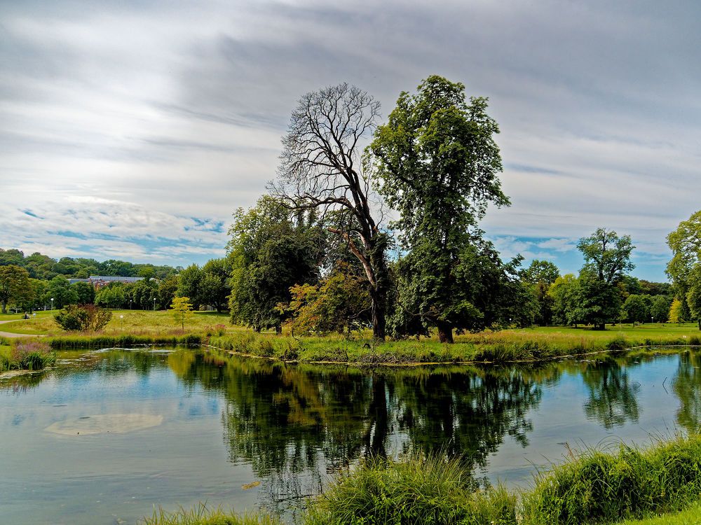 Photograph by Виталий Лёвин