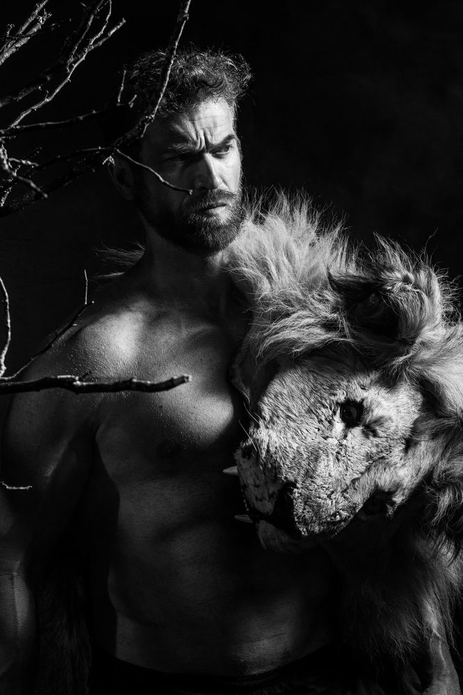 Photo #6477587