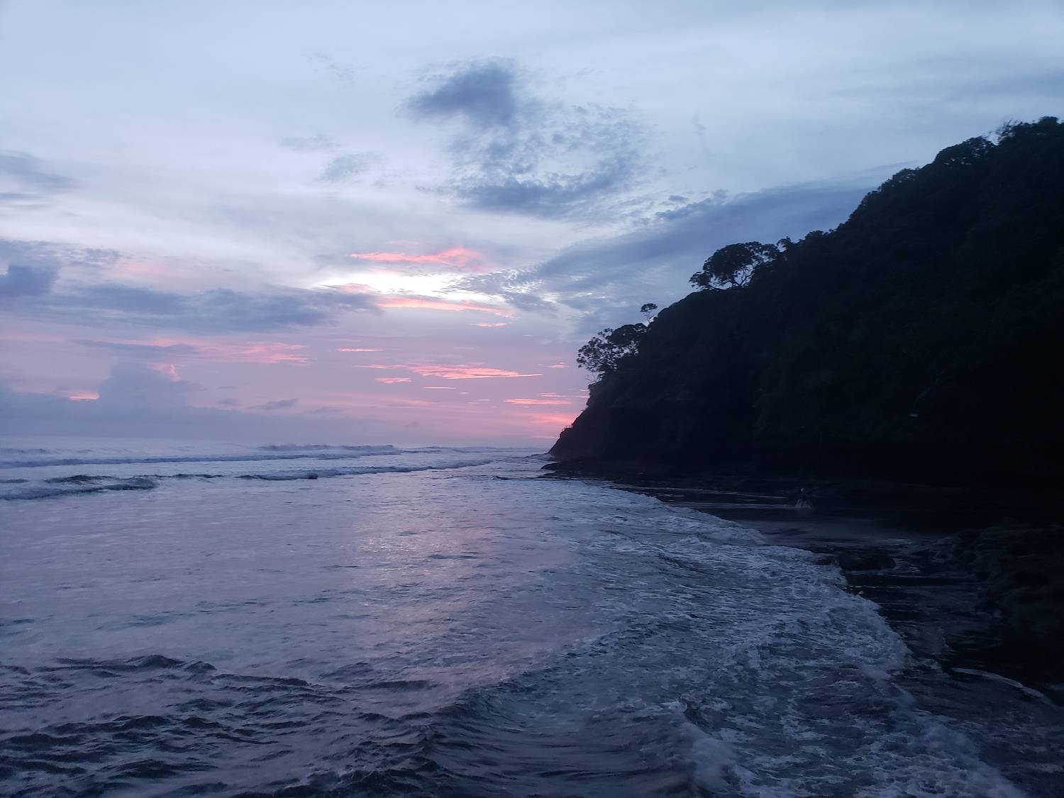 Photo #6477676