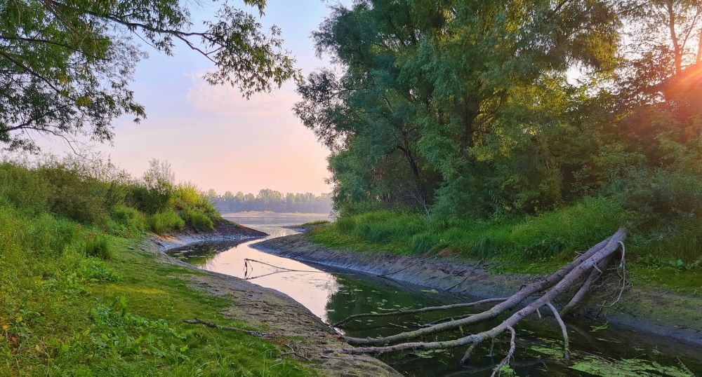 Photograph by Половова Ирина