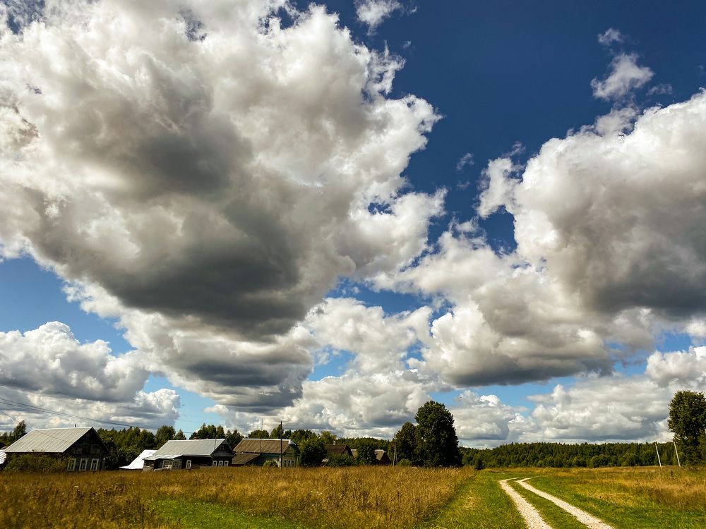 Photograph by Виктория Лаур