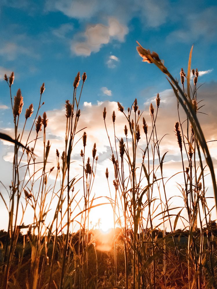 Photograph by Jhelyn Nobe Antonio