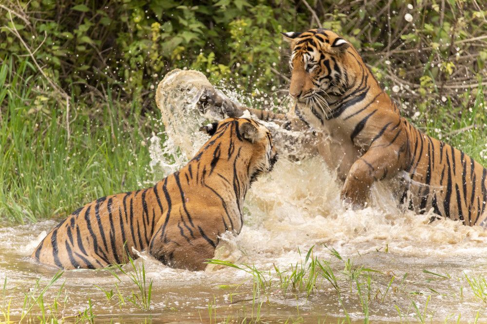 Photograph by John Robert