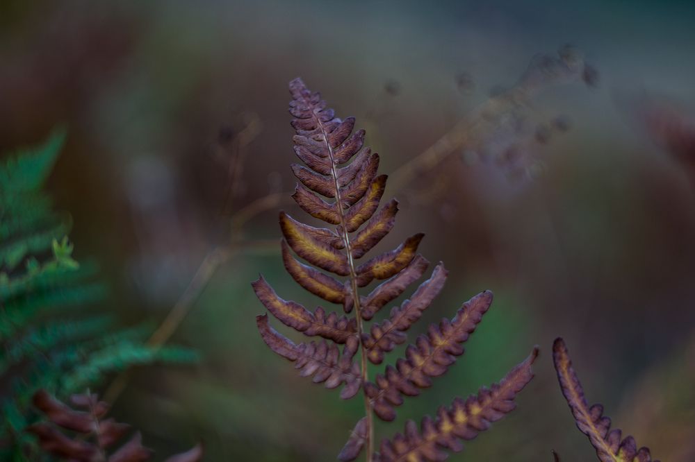 Photograph by Наиль Шакиров