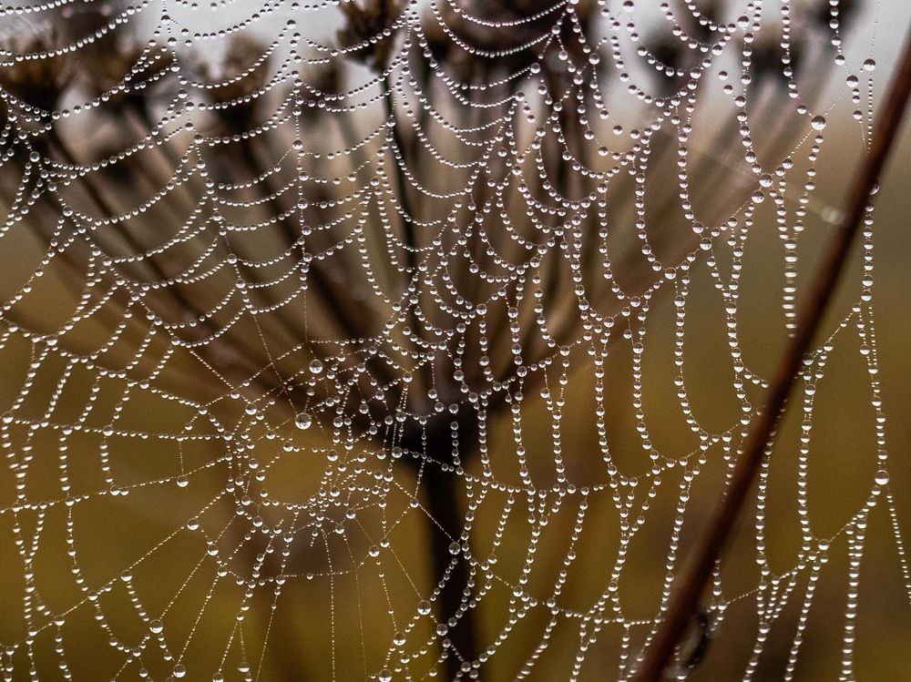 Photograph by mikhail goryachev