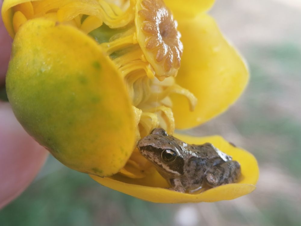 Photograph by Дарья Демина